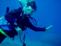 discover scuba diving	